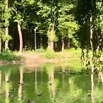 Apartment Zielona Park Industrial Dabrowa Gornicza