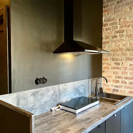 Zielona Park Industrial Апартаменты Домброва-Гурнича