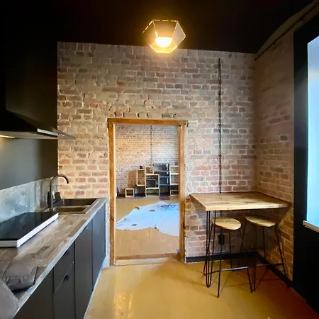 Zielona Park Industrial Апартаменты Домброва-Гурнича