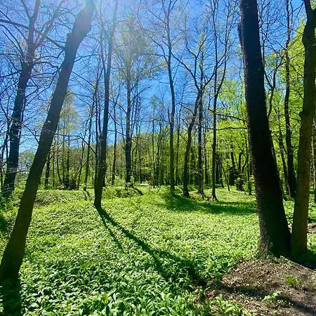 Zielona Park Industrial Домброва-Гурнича