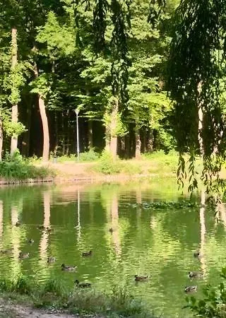 Апартаменты Zielona Park Industrial Домброва-Гурнича