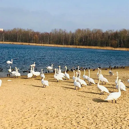 Zielona Park Industrial Домброва-Гурнича
