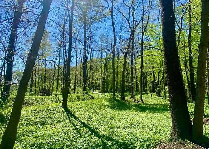 Zielona Park Industrial Dąbrowa Górnicza