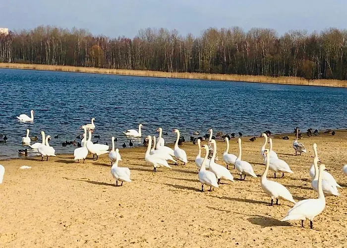 Zielona Park Industrial Dąbrowa Górnicza